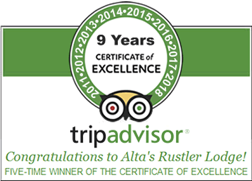 Certificate of Excellence | Alta's Rustler Lodge | Alta, Utah