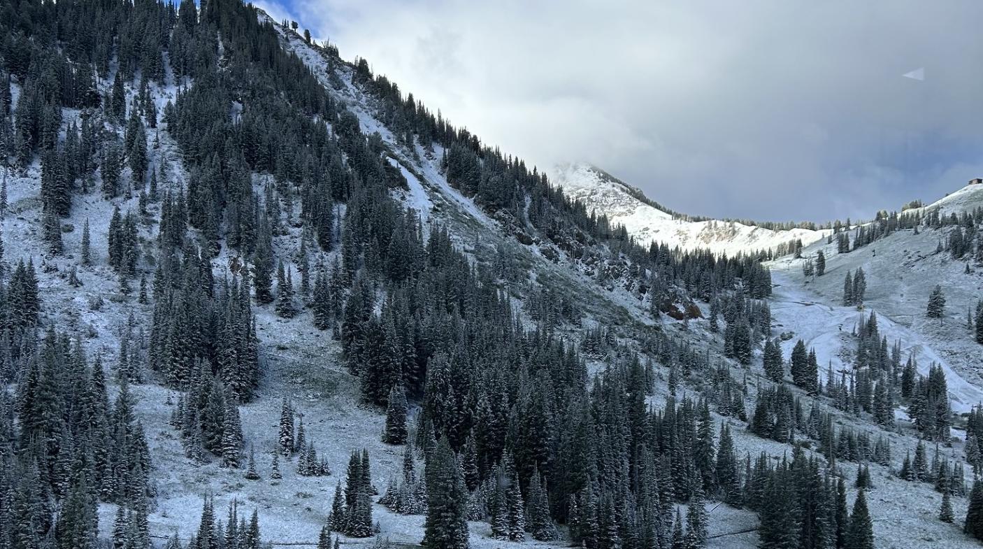 Surprise June Snow