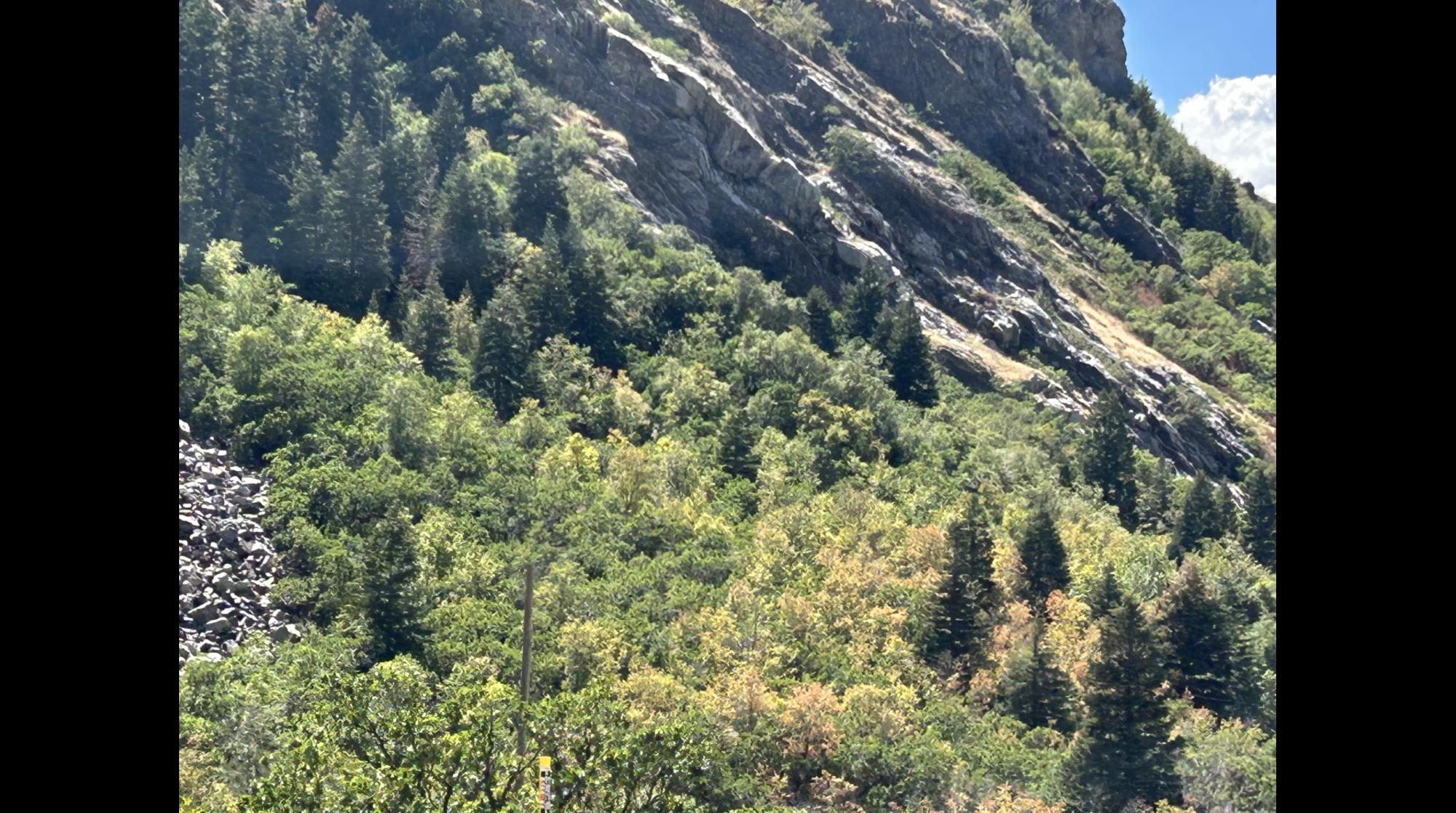 Starting to get some Yellow in the canyon